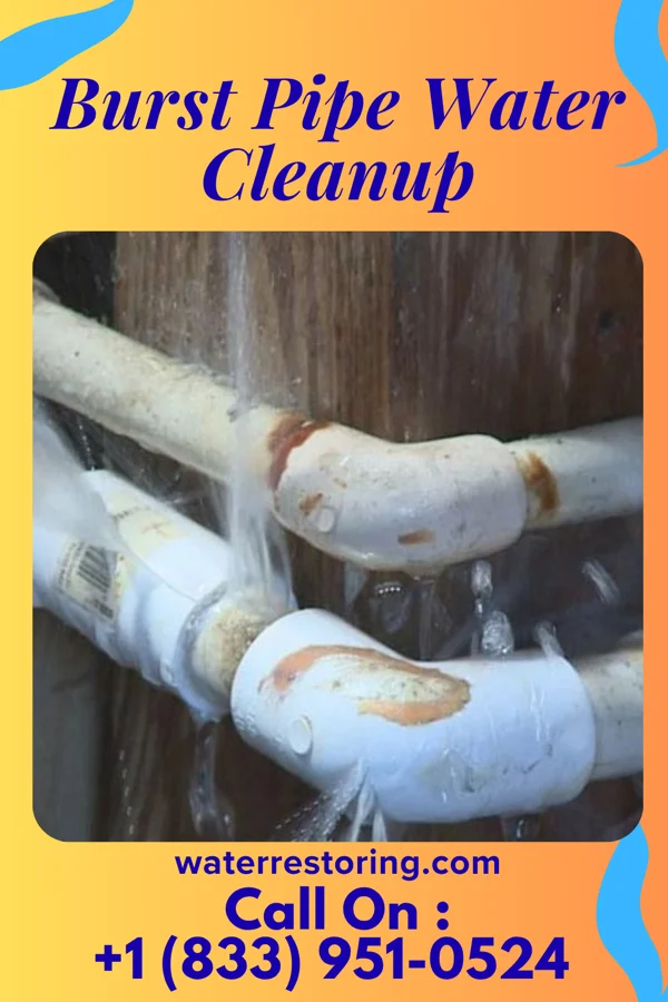 Burst Pipe Water Cleanup in Rogersville, TN
