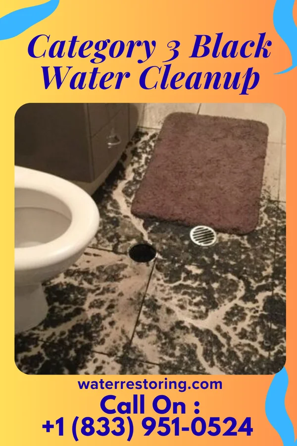 Category 3 Black Water Cleanup in Rogersville, TN