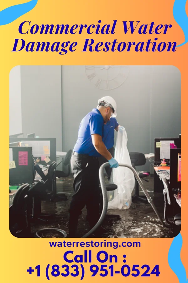 Commercial Water Damage Restoration in Rogersville, TN