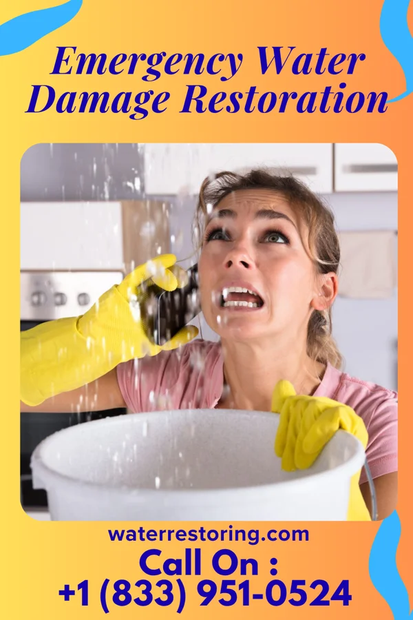 Emergency Water Damage Restoration in Rogersville, TN