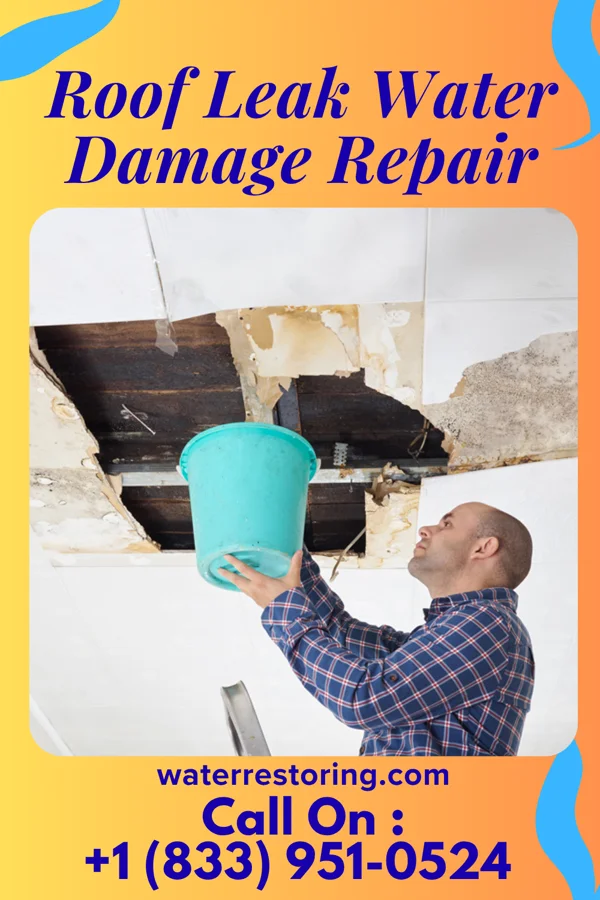 Roof Leak Water Damage Repair in Rogersville, TN