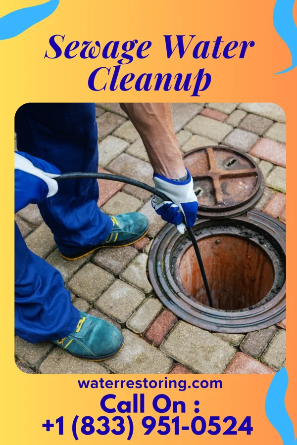 Sewage Water Cleanup in Rogersville, TN