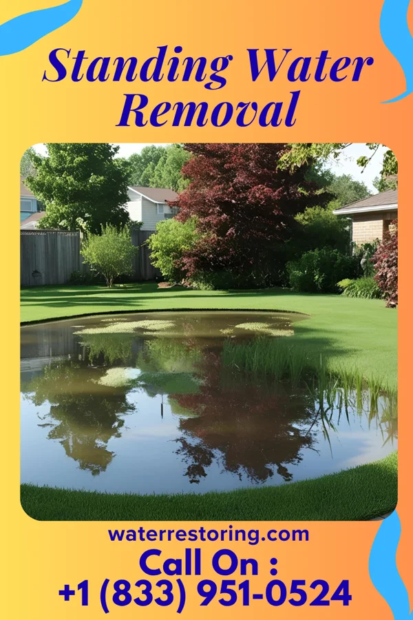 Standing Water Removal in Rogersville, TN